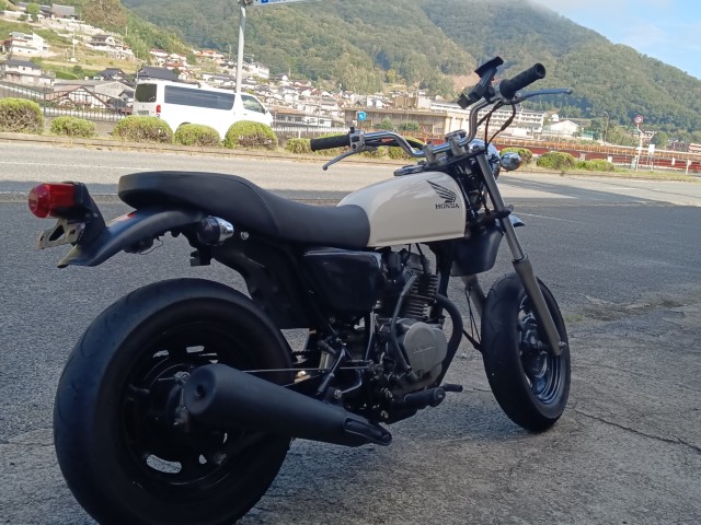 �z���_�G�C�v50�i���R�������s�j�摜3