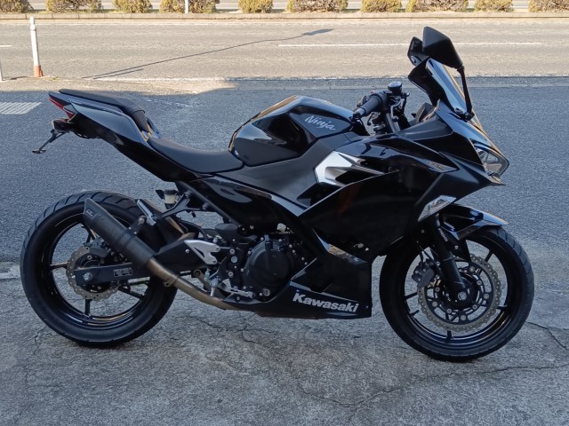 �J���T�LNinja250�i���R�������s�j�摜1
