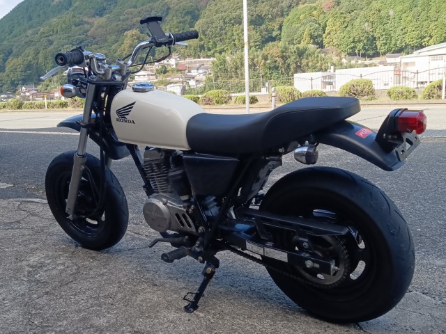�z���_�G�C�v50�i���R�������s�j�摜6