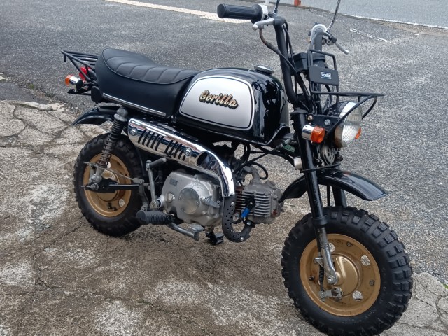 �z���_�S�����i���R�������s�j�摜2