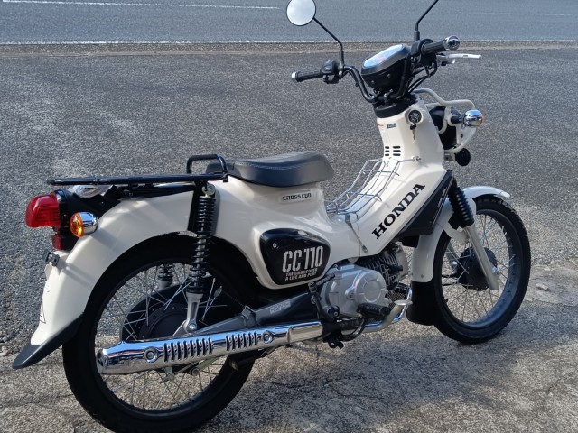 �z���_�N���X�J�u110�i���R�������s�j�摜3