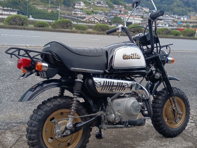 �z���_�S�����i���R�������s�j�摜3