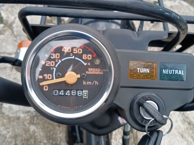 �z���_�S�����i���R�������s�j�摜7