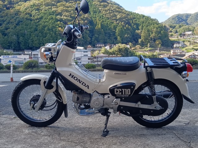 �z���_�N���X�J�u110�i���R�������s�j�摜4