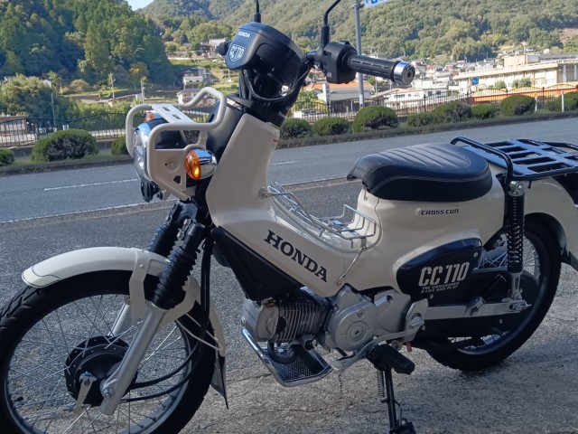 �z���_�N���X�J�u110�i���R�������s�j�摜5
