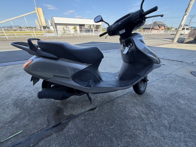 �z���_�X�y�C�V�[100�i���R�����R�s�j�摜3