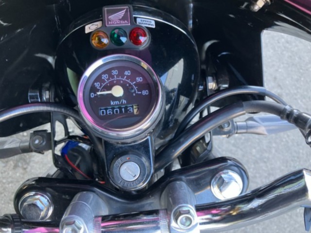 �z���_�G�C�v50�i���Q���F�a���s�j�摜13