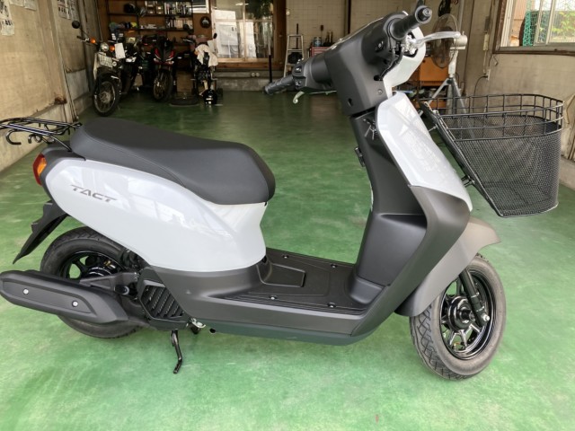 �z���_�^�N�g�i���Q���F�a���s�j�摜2