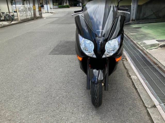 �z���_�t�H���c�@�i���Q���F�a���s�j�摜3
