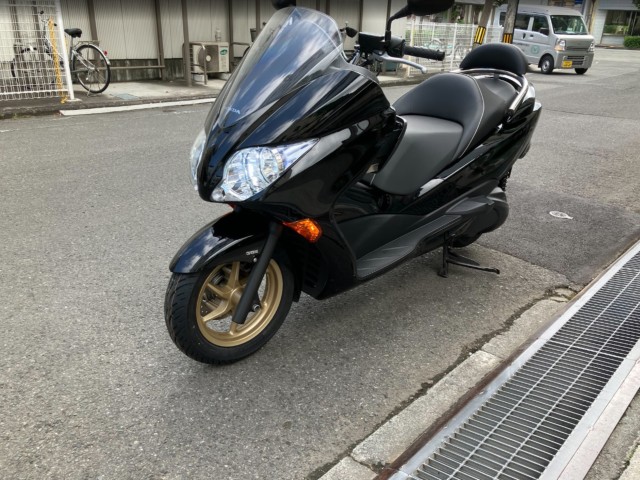 �z���_�t�H���c�@�i���Q���F�a���s�j�摜4