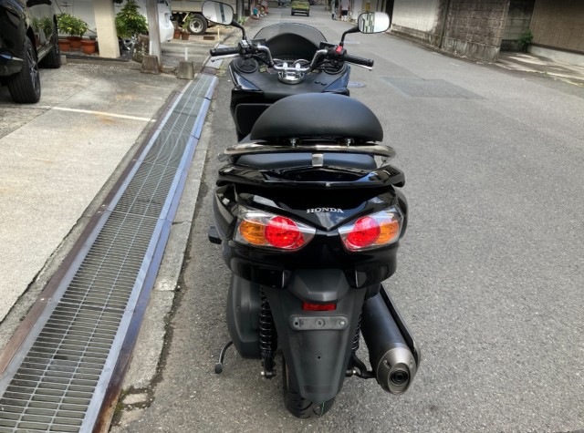 �z���_�t�H���c�@�i���Q���F�a���s�j�摜6