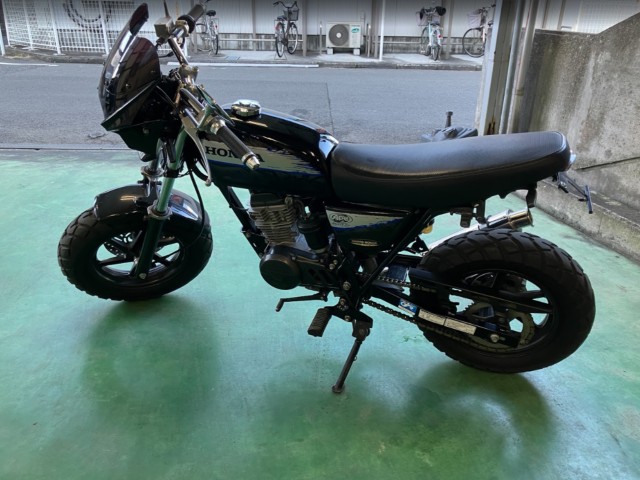 �z���_�G�C�v50 �^�C�vD�i���Q���F�a���s�j�摜21