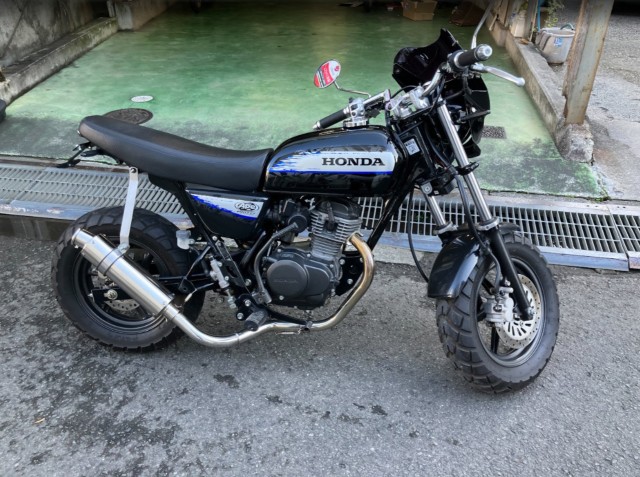 �z���_�G�C�v50 �^�C�vD�i���Q���F�a���s�j�摜1