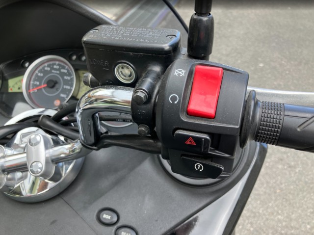 �z���_�t�H���c�@�i���Q���F�a���s�j�摜10