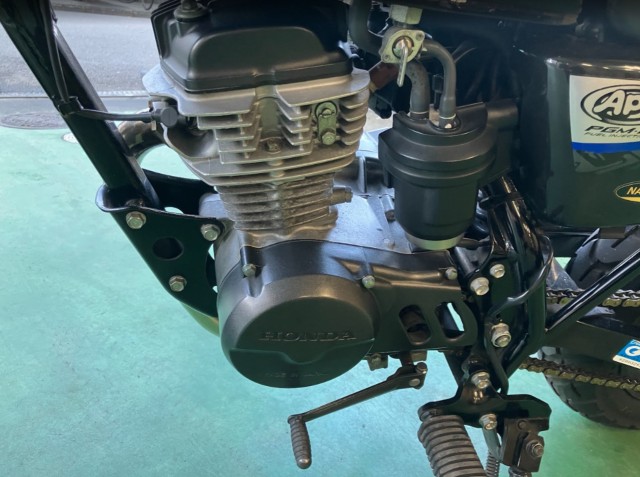 �z���_�G�C�v50 �^�C�vD�i���Q���F�a���s�j�摜9