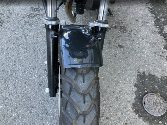 �z���_�G�C�v50 �^�C�vD�i���Q���F�a���s�j�摜17