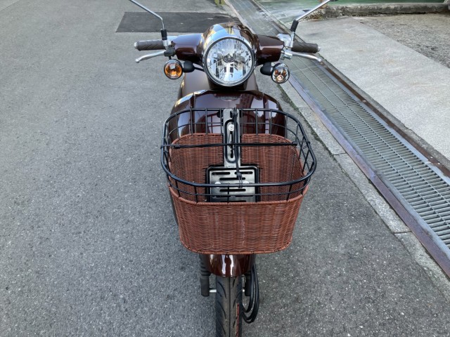 �z���_�W�����m�i���Q���F�a���s�j�摜3