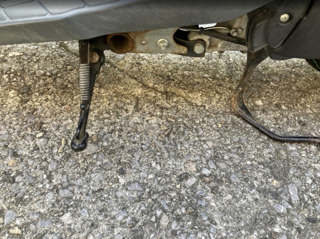 �X�Y�L���b�c4�i���Q���F�a���s�j�摜8