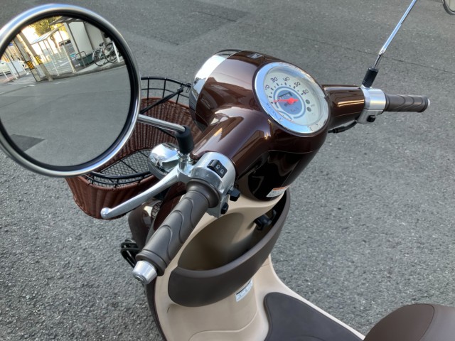 �z���_�W�����m�i���Q���F�a���s�j�摜9