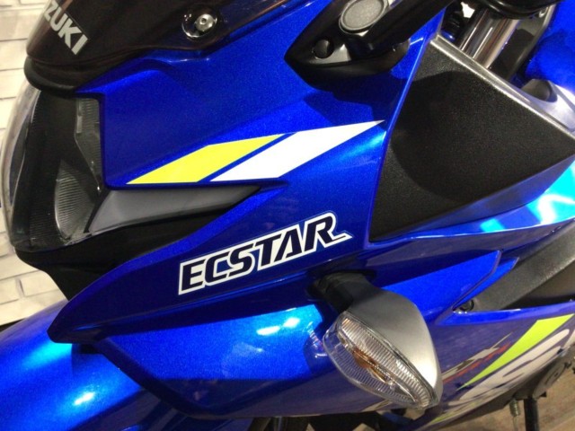 �X�Y�LGSX250R�i���Q�����R�s�j�摜30