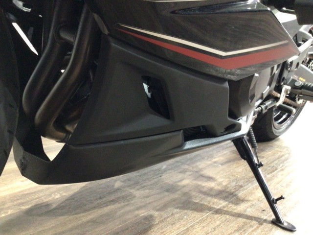 �J���T�LNinja 1000SX�i���Q�����R�s�j�摜35