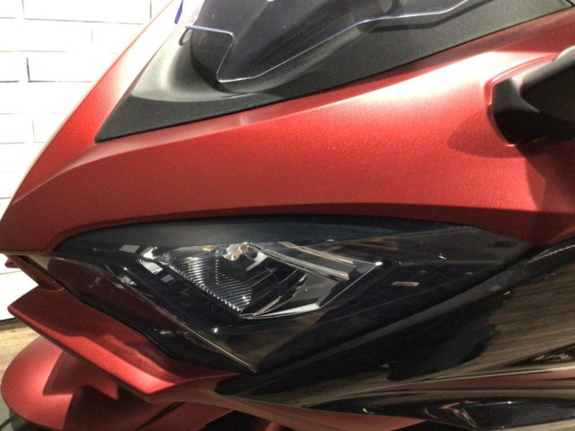�J���T�LNinja 1000SX�i���Q�����R�s�j�摜38