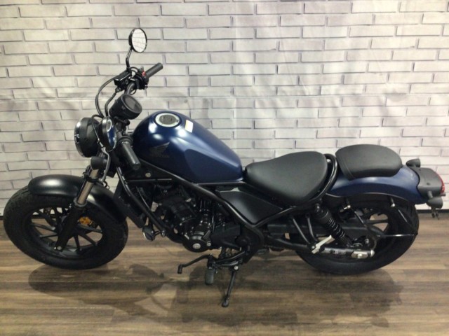�z���_���u��250�i���Q�����R�s�j�摜8