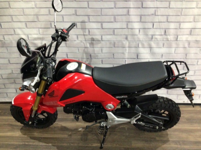 �z���_�O�����i���Q�����R�s�j�摜8