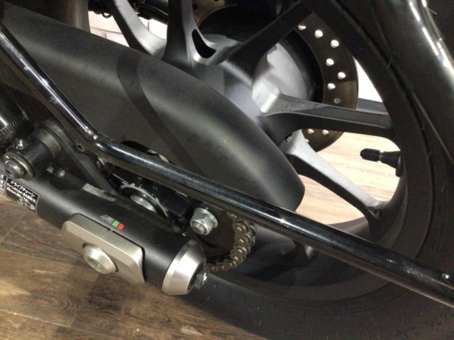 �z���_���u��250�i���Q�����R�s�j�摜13