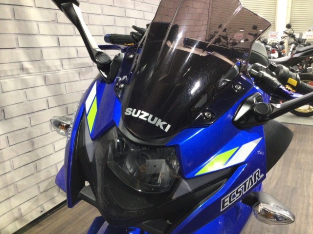 �X�Y�LGSX250R�i���Q�����R�s�j�摜18