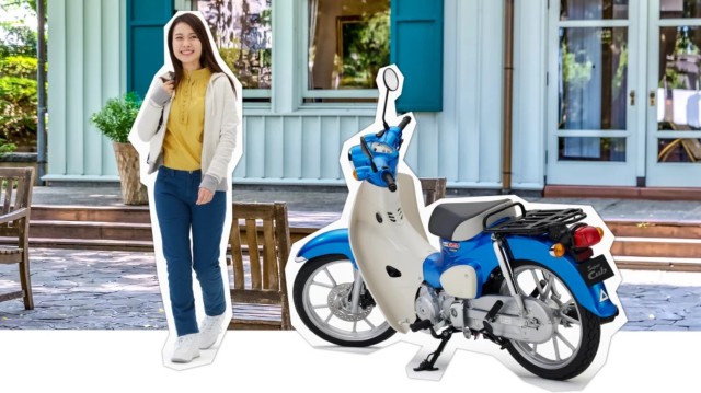 �z���_�X�[�p�[�J�u110�i���Q�����R�s�j�摜4