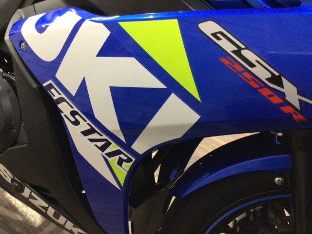 �X�Y�LGSX250R�i���Q�����R�s�j�摜21