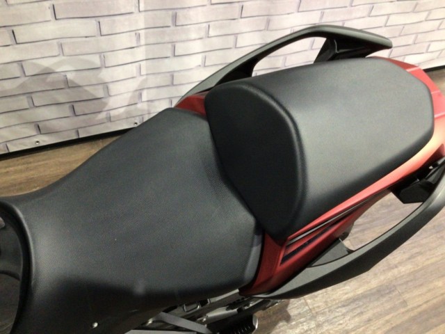 �J���T�LNinja 1000SX�i���Q�����R�s�j�摜16
