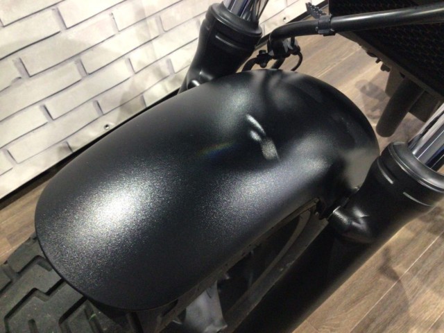 �z���_���u��250�i���Q�����R�s�j�摜19