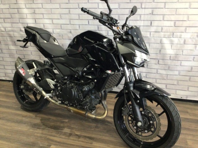 �J���T�LZ250�i���Q�����R�s�j�摜1