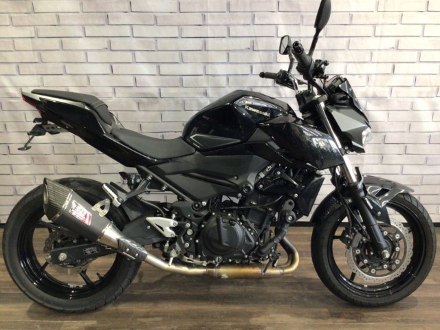 �J���T�LZ250�i���Q�����R�s�j�摜2