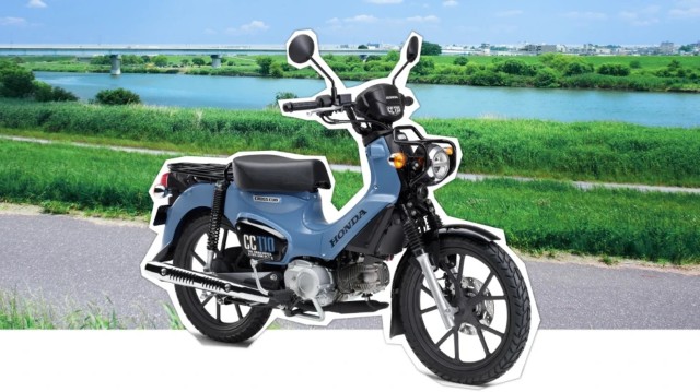 �z���_�N���X�J�u110�i���Q�����R�s�j�摜3