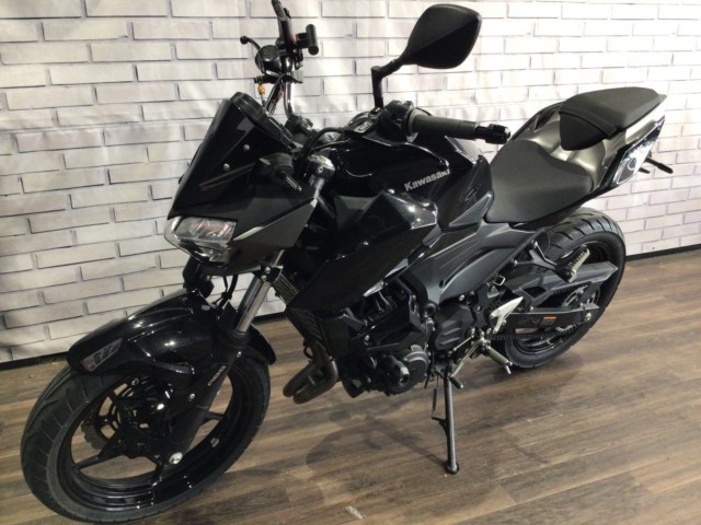 �J���T�LZ250�i���Q�����R�s�j�摜8