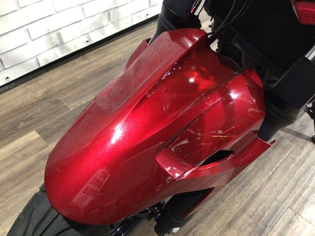 �J���T�LZ250�i���Q�����R�s�j�摜19