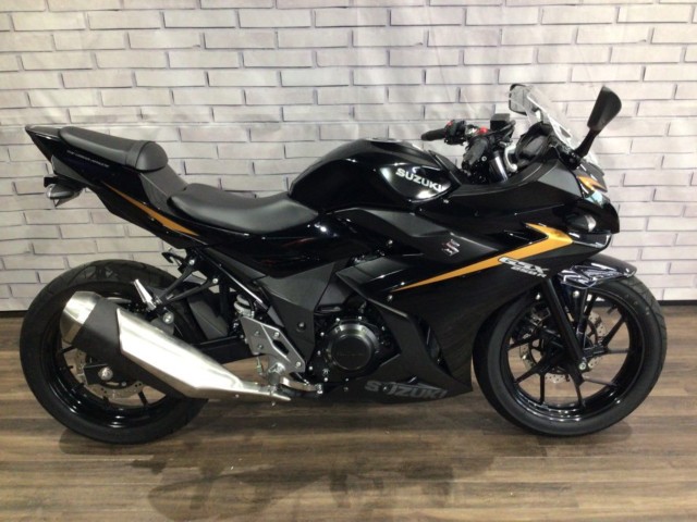 �X�Y�LGSX250R�i���Q�����R�s�j�摜2