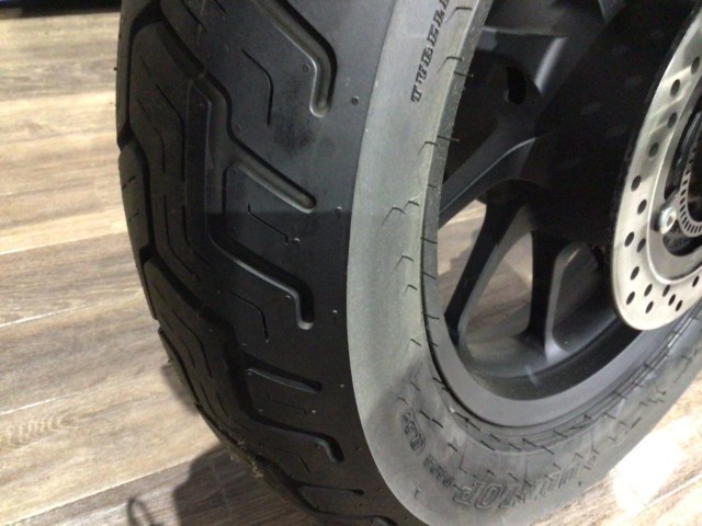 �z���_���u��250�i���Q�����R�s�j�摜6
