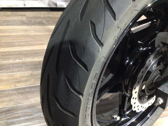 �J���T�LZ250�i���Q�����R�s�j�摜6
