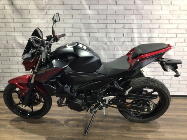 �J���T�LZ250�i���Q�����R�s�j�摜8