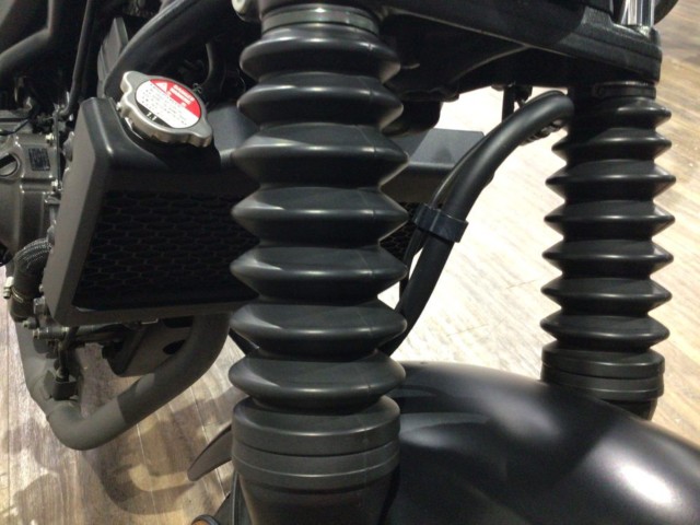 �z���_CL250�i���Q�����R�s�j�摜27
