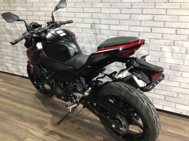 �J���T�LZ250�i���Q�����R�s�j�摜12