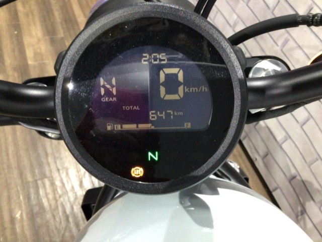 �z���_���u��250�i���Q�����R�s�j�摜15