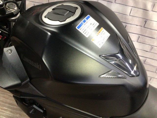 �J���T�LZ250�i���Q�����R�s�j�摜14