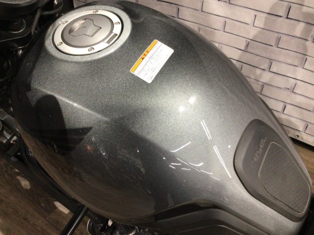 �z���_���u��1100�i���Q�����R�s�j�摜14