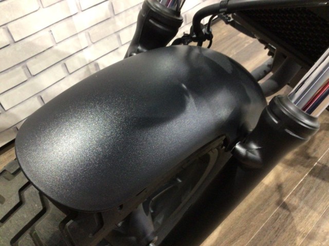 �z���_���u��250�i���Q�����R�s�j�摜19
