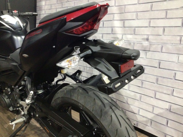 �J���T�LZ250�i���Q�����R�s�j�摜17
